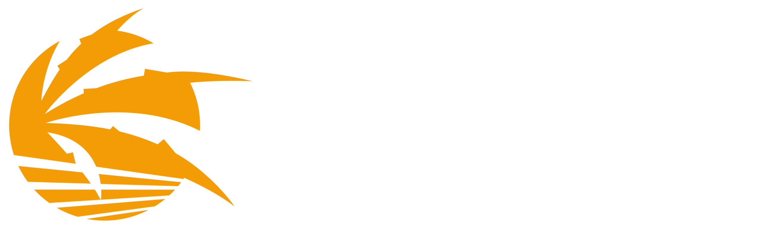 Riplay Beach Sports